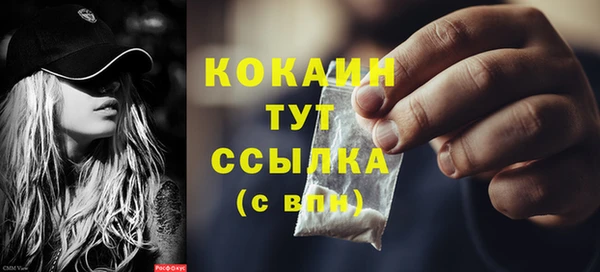 крисы Бородино