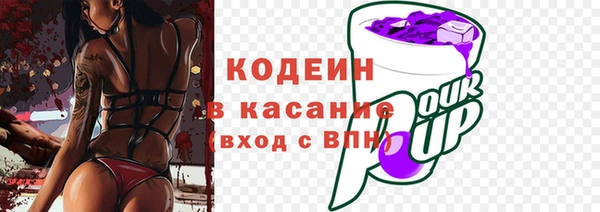 крисы Бородино