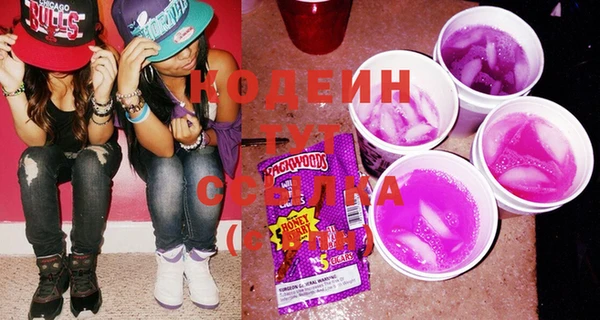 крисы Бородино