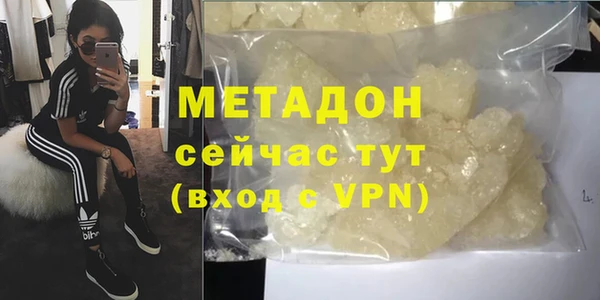 крисы Бородино