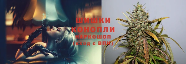 крисы Бородино