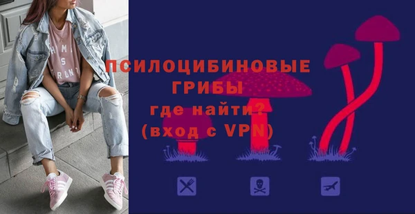 крисы Бородино