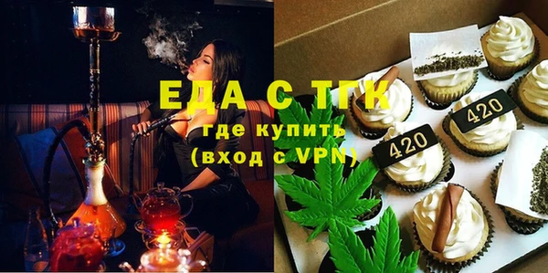 крисы Бородино