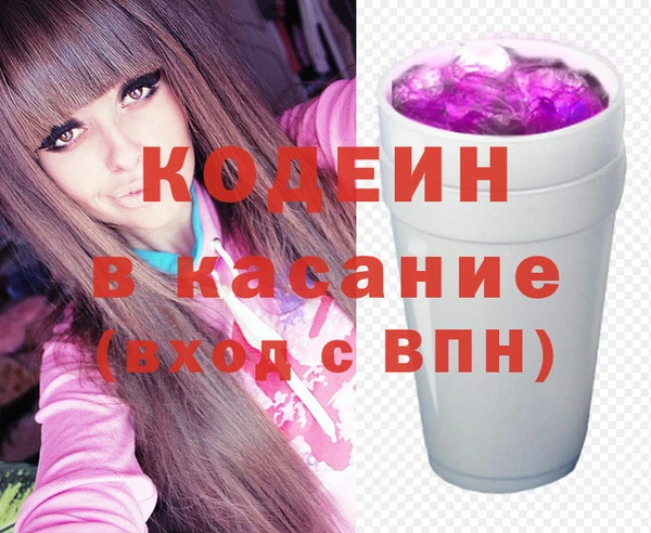 крисы Бородино