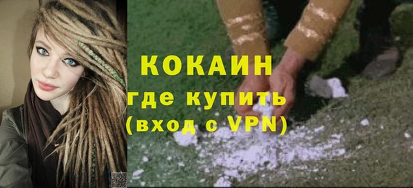 крисы Бородино