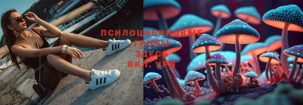 прущая мука Бугульма