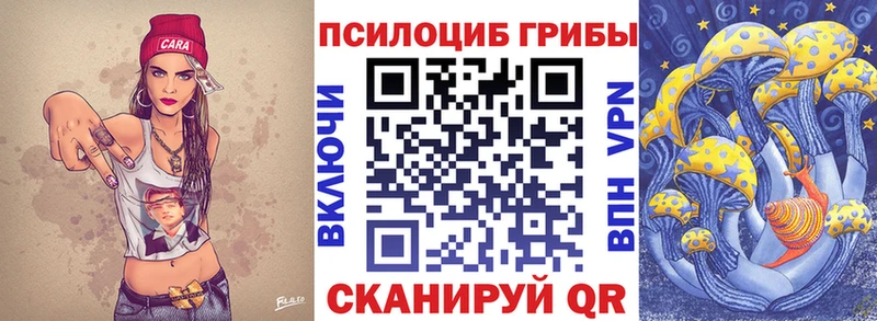 дарнет шоп  Велиж  Псилоцибиновые грибы прущие грибы 